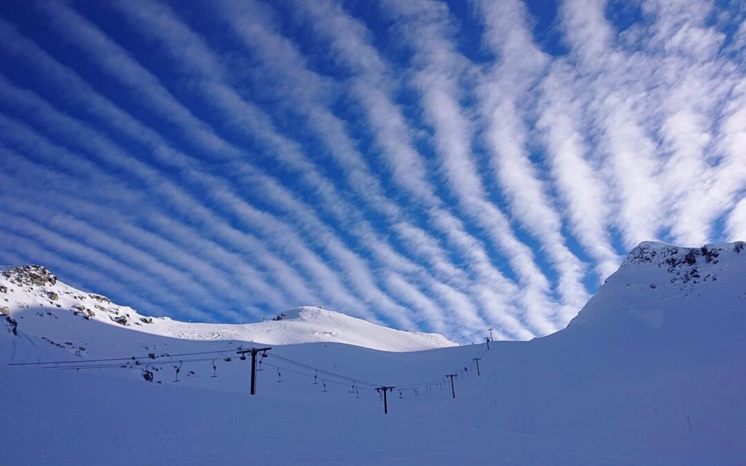 WHAT’S NEW IN BC/YUKON?