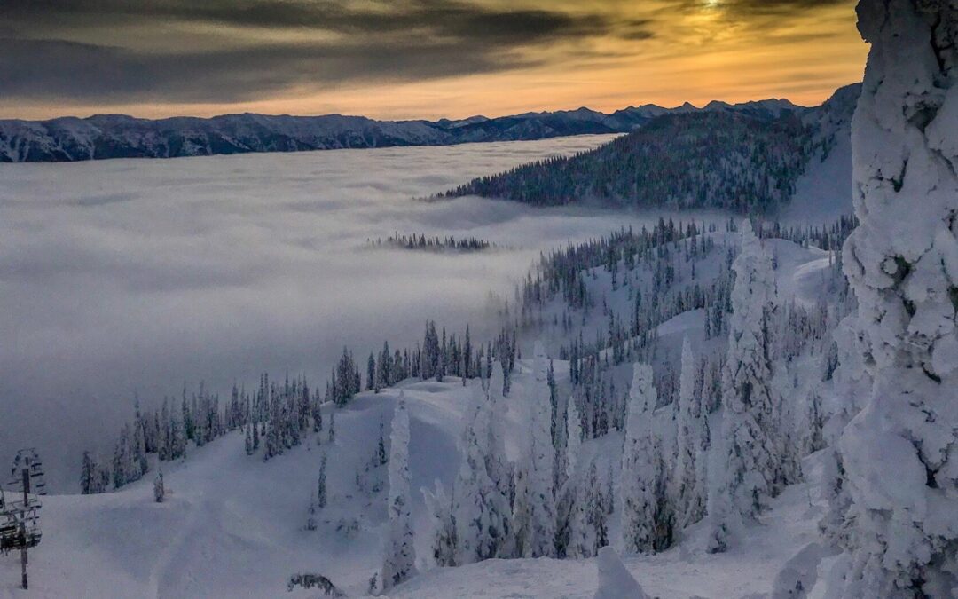 QUOI DE NEUF EN COLOMBIE-BRITANNIQUE ET AU YUKON?