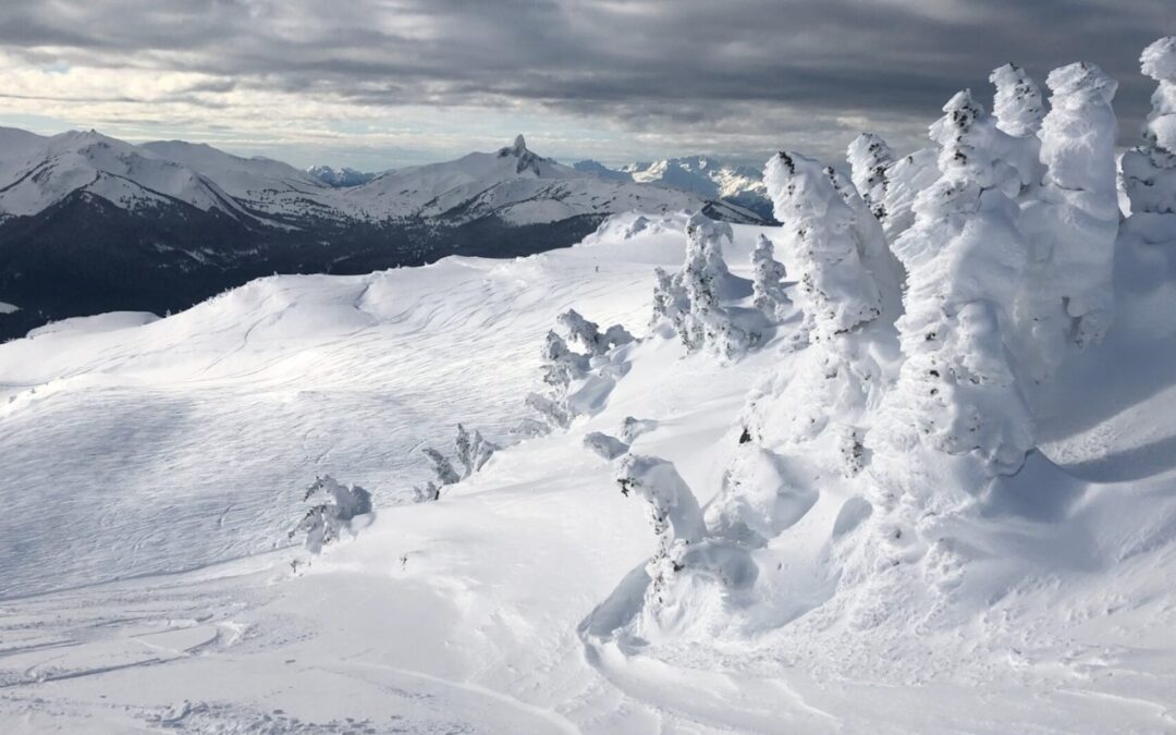 QUOI DE NEUF EN COLOMBIE-BRITANNIQUE ET AU YUKON?