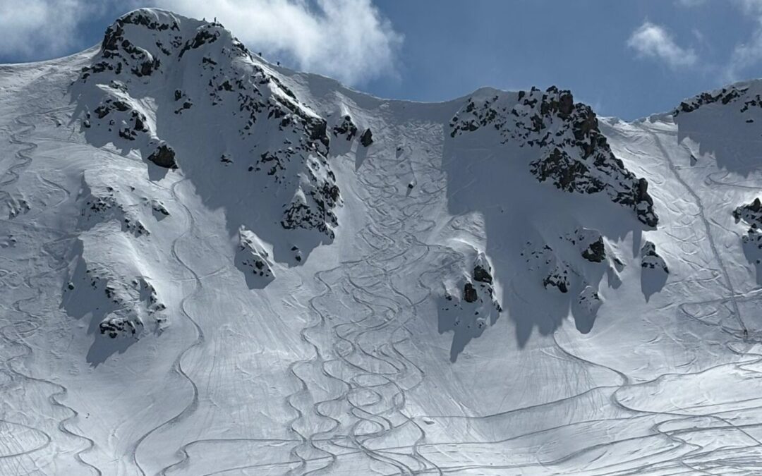 CSIA GOVERNANCE COMMITTEE CALL FOR EXPRESSION OF INTEREST 